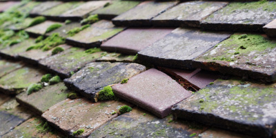 Charney Bassett roof repair costs
